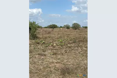 00 Dentler Road, Meyersville, TX 77974 - Photo 10