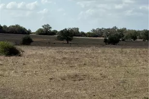 00 Dentler Rd, Meyersville, TX 77974 - Photo 4