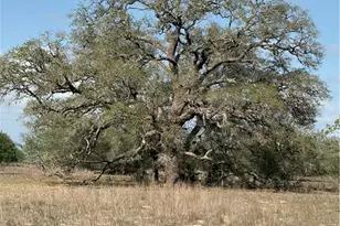 00 Dentler Rd, Meyersville, TX 77974 - Photo 8