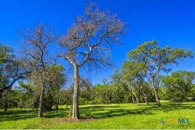 4772-2 County Road 340, Burnet, TX 76905 - Photo 10