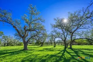 4772-2 County Road 340, Burnet, TX 76905 - Photo 8