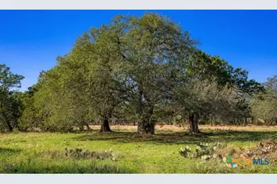 4772-2 County Road 340, Burnet, TX 76905 - Photo 6