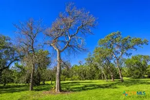 4772-2 County Road 340, Burnet, TX 76905 - Photo 10
