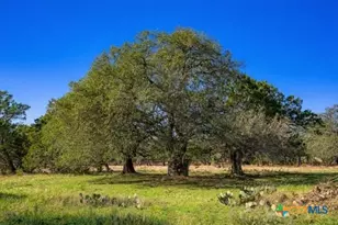 4772-2 County Road 340, Burnet, TX 76905 - Photo 6