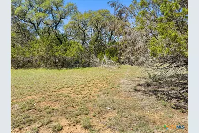 1510 Misty Lane, Spring Branch, TX 78070 - Photo 10