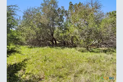 1510 Misty Lane, Spring Branch, TX 78070 - Photo 2