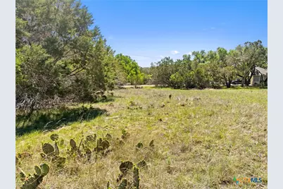 1510 Misty Lane, Spring Branch, TX 78070 - Photo 4