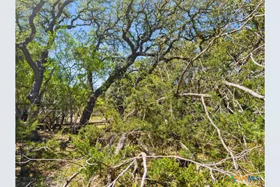 1530 Misty Lane, Spring Branch, TX 78070 - Photo 6