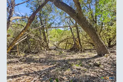 1530 Misty Lane, Spring Branch, TX 78070 - Photo 8