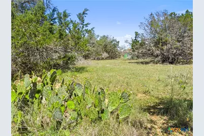 1530 Misty Lane, Spring Branch, TX 78070 - Photo 4