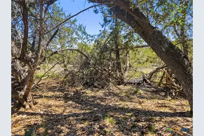 1530 Misty Lane, Spring Branch, TX 78070 - Photo 10