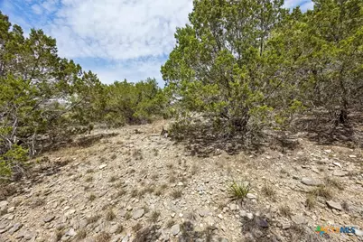 1082 Madrone Road, Fischer, TX 78623 - Photo 12