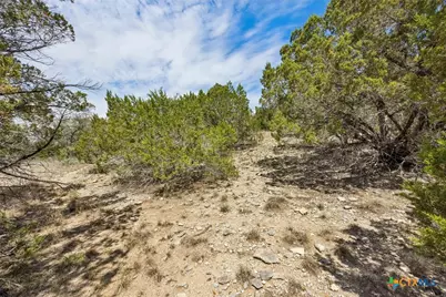 1082 Madrone Road, Fischer, TX 78623 - Photo 8