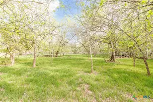 Tbd Fm 1681, Nixon, TX 78140 - Photo 12