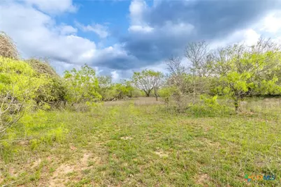 Tbd Fm 1681, Nixon, TX 78140 - Photo 8