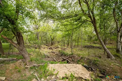 Tbd Fm 1681, Nixon, TX 78140 - Photo 16