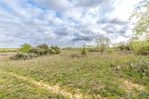Tbd Fm 1681, Nixon, TX 78140 - Photo 4