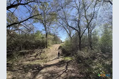 0 Anchor Ranch Loop, Flatonia, TX 78941 - Photo 6