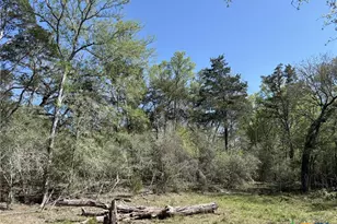 0 Anchor Ranch Loop, Flatonia, TX 78941 - Photo 20