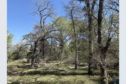 0 Anchor Ranch Loop, Flatonia, TX 78941 - Photo 10