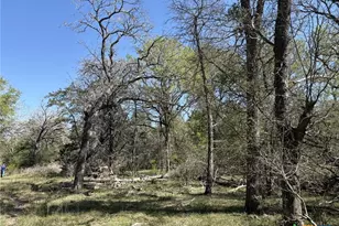 0 Anchor Ranch Loop, Flatonia, TX 78941 - Photo 10