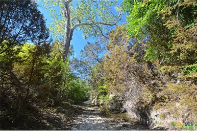 0 Fm 581, Lometa, TX 76853 - Photo 4