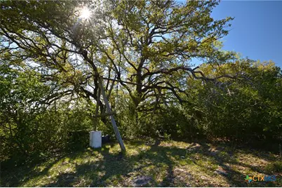 0 Fm 581, Lometa, TX 76853 - Photo 18