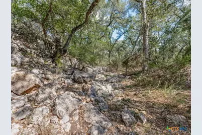 25867 Lewis Ranch Road, New Braunfels, TX 78132 - Photo 38