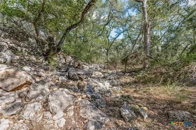 25867 Lewis Ranch Road, New Braunfels, TX 78132 - Photo 36