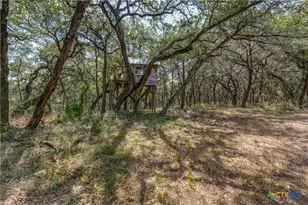 25867 Lewis Ranch Rd, New Braunfels, TX 78132 - Photo 30