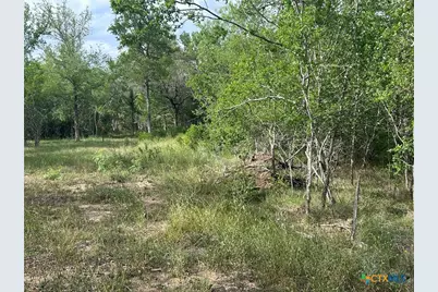 0 Sutherland Springs, Seguin, TX 78155 - Photo 14