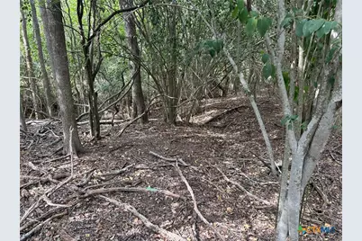 0 Sutherland Springs, Seguin, TX 78155 - Photo 12