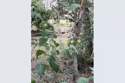 0 Sutherland Springs, Seguin, TX 78155 - Photo 10