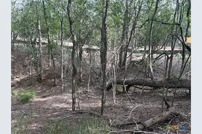0 Sutherland Springs, Seguin, TX 78155 - Photo 14