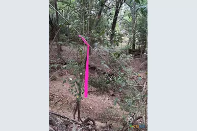 0 Sutherland Springs, Seguin, TX 78155 - Photo 8