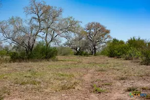 2632 Slickfield Rd, Yorktown, TX 78164 - Photo 24