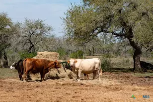 2632 Slickfield Rd, Yorktown, TX 78164 - Photo 22