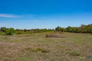 2632 Slickfield Rd, Yorktown, TX 78164 - Photo 26