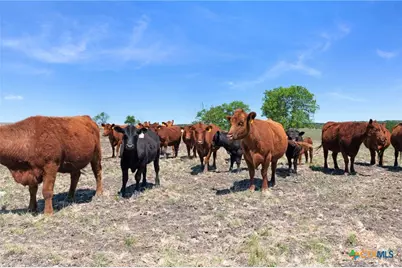 Tbd US Hwy 36, Jonesboro, TX 76538 - Photo 18