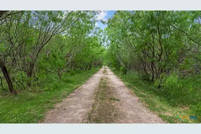 1911 Wald Road, New Braunfels, TX 78132 - Photo 4