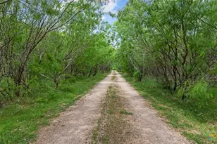 1911 Wald Rd, New Braunfels, TX 78132 - Photo 4