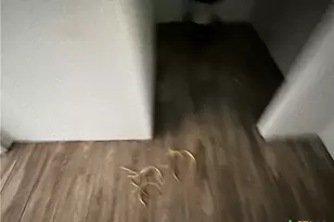 15006 Armstrong Estates, Salado, TX 76571 - Photo 32