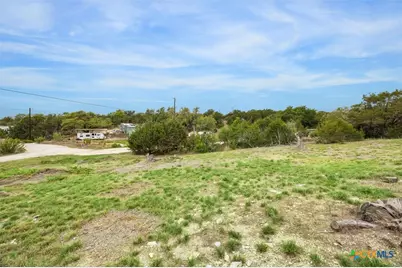 825 Golf Course E Drive, Spring Branch, TX 78070 - Photo 8