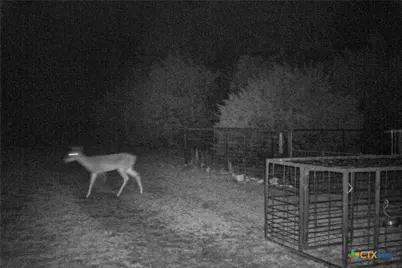 Tbd Straws Mill Rd, Gatesville, TX 76528 - Photo 38