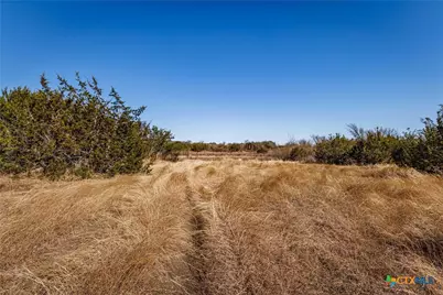 Tbd Straws Mill Rd, Gatesville, TX 76528 - Photo 24