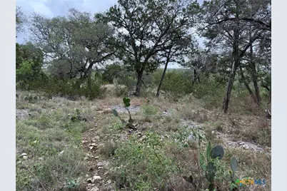 1113 Keystone, Canyon Lake, TX 78133 - Photo 4