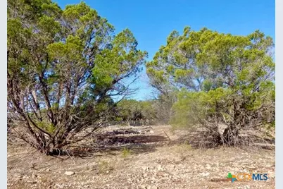 869 Flaman Road, Canyon Lake, TX 78133 - Photo 8