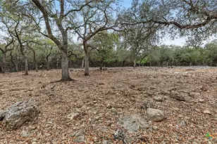 1716 Phantom Rider Trail, Spring Branch, TX 78070 - Photo 38