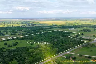 Tbd Corner Of Fm 2155 and Cr 269 (+/-127 39 Acres), Snook, TX 77878 - Photo 8