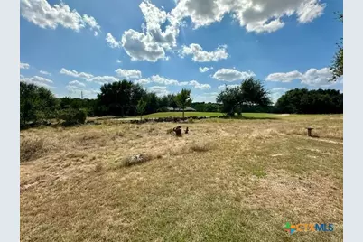 105 N John Bird, Blanco, TX 78606 - Photo 38